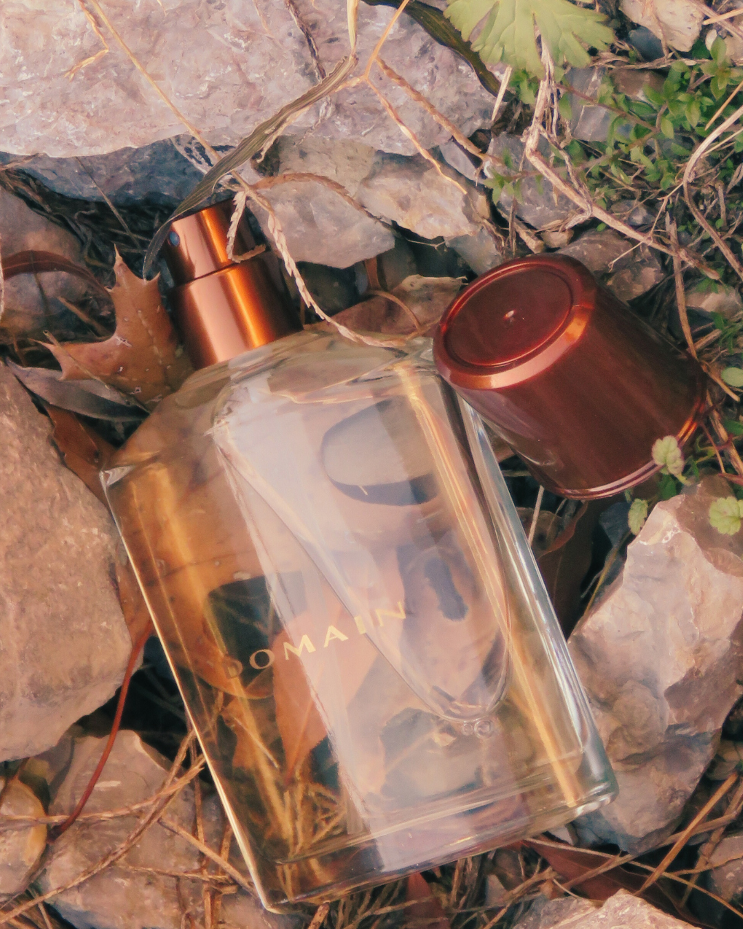 Domain Cologne For Men