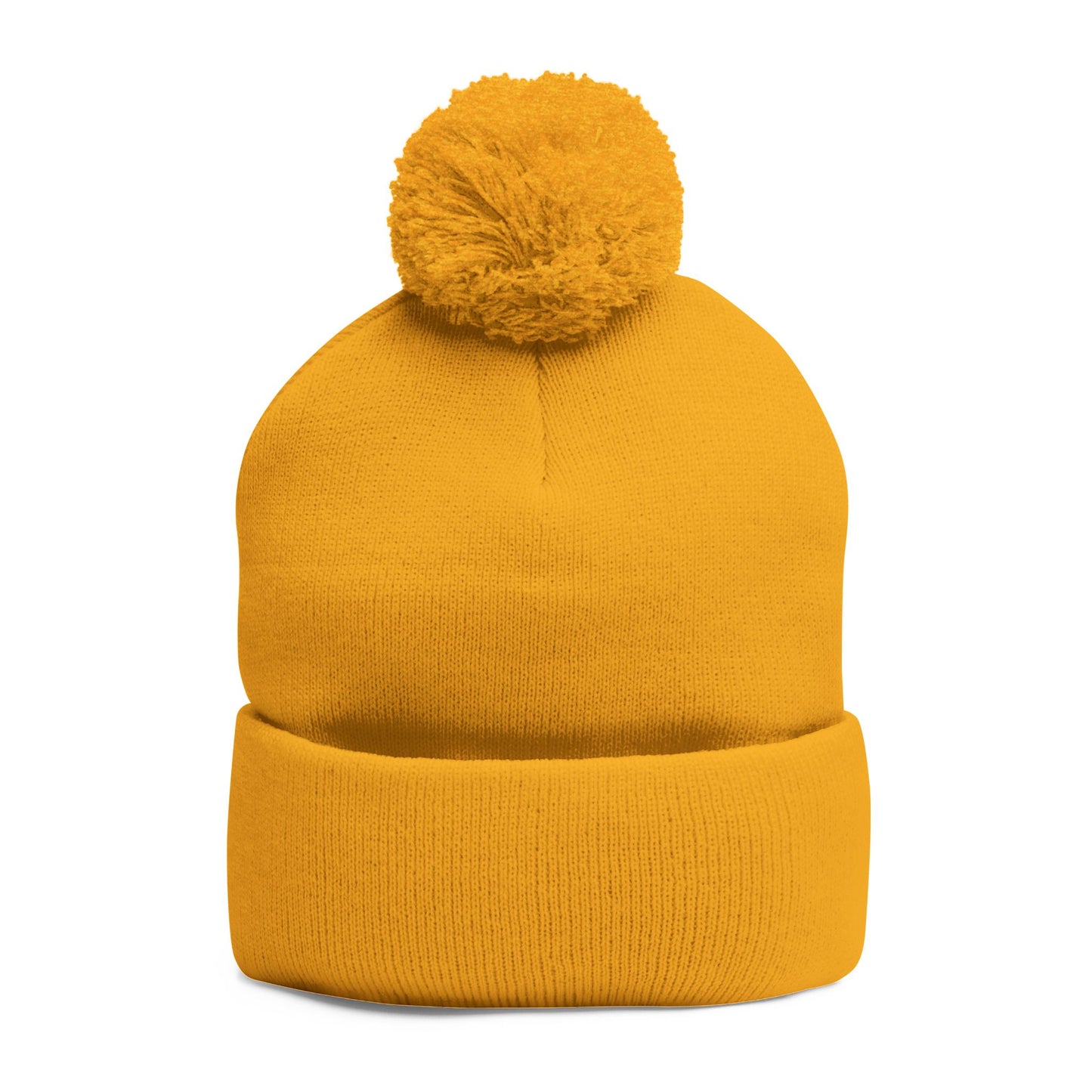 Introverted Energy Pom-Pom Beanie
