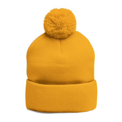 Introverted Energy Pom-Pom Beanie