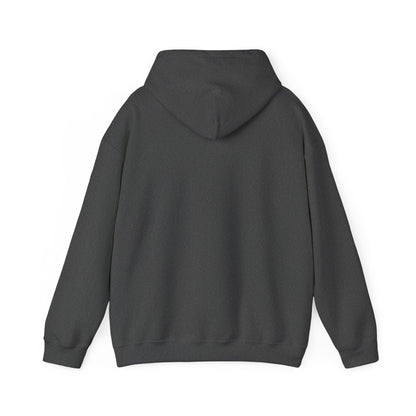 Cozy Season Hoodie — Plush Unisex Heavy-Blend Hooded Sweatshirt