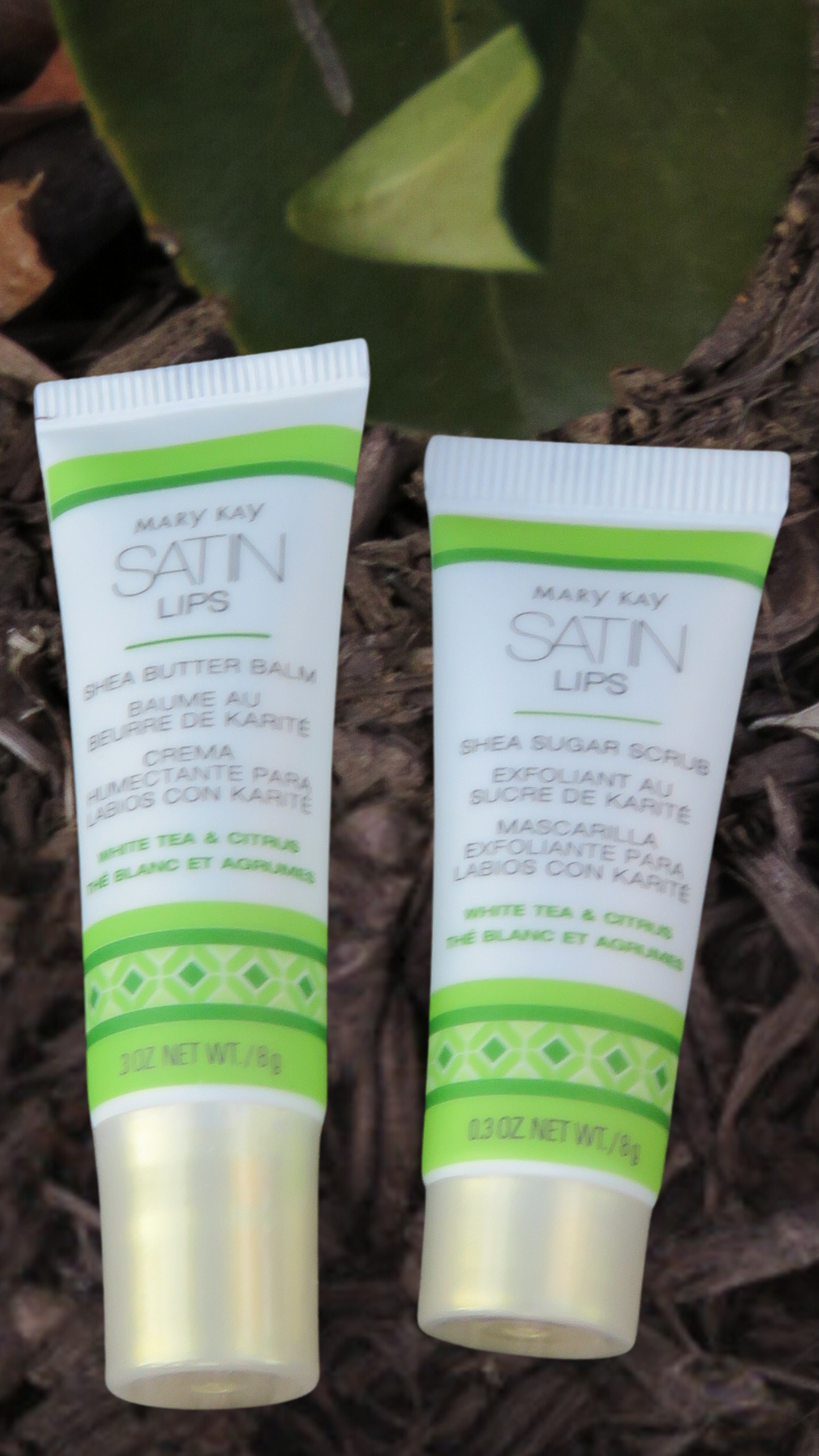The White Tea and Citrus Satin Lips Set